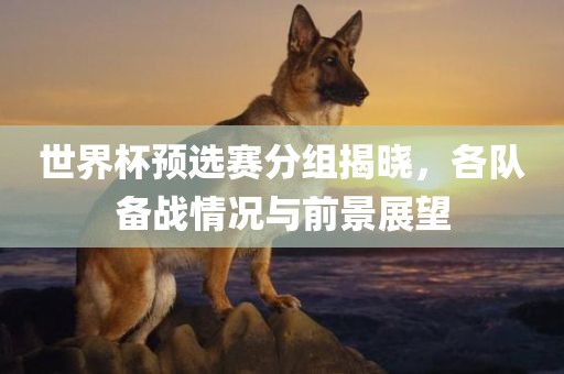 世界杯预选赛分组揭晓，各眉山市正发家政服务有限公司队备战情况与前景展望
