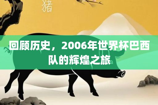 回顾历史，2006年世界杯巴西队的辉煌之旅