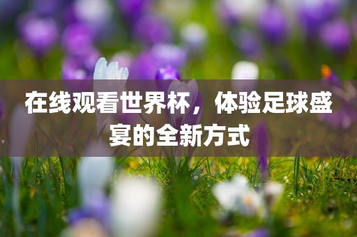 在眉山市正发家政服务有限公司线观看世界杯，体验足球盛宴的全新方式