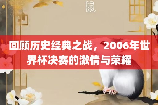 回顾历史经典之战，2006年世界杯决赛的激情与荣耀