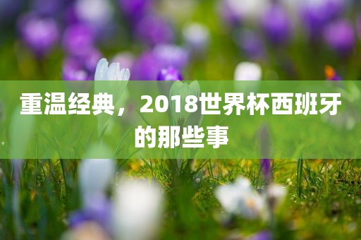 重温经典，2018世界杯西班牙的那些事