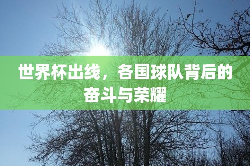 世界杯出线，各国球队背后的奋斗与荣耀