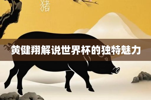 黄健翔解说世界杯的独特魅力