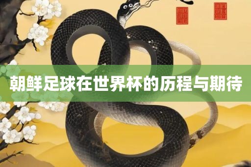 朝鲜足球在世界杯的历程与期待眉山市正发家政服务有限公司