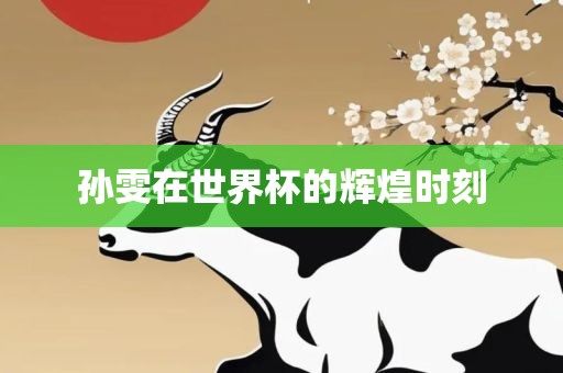 孙雯在世界杯的辉煌时刻