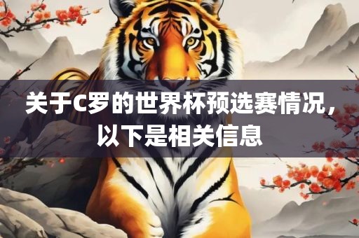 关于C罗的世眉山市正发家政服务有限公司界杯预选赛情况，以下是相关信息