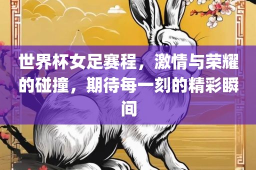 世界杯女足赛程，激情与荣耀的碰撞，期待每一刻的精彩瞬间眉山市正发家政服务有限公司