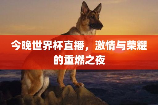 今晚世界杯眉山市正发家政服务有限公司直播，激情与荣耀的重燃之夜