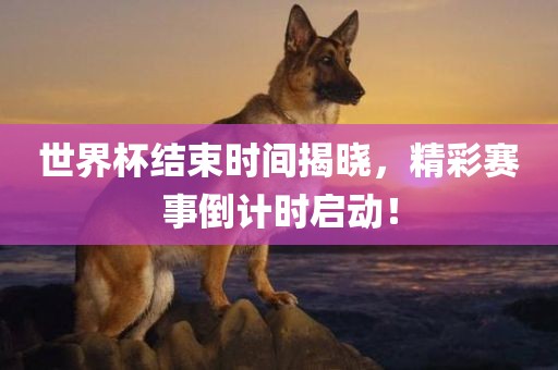 yibo 第6页