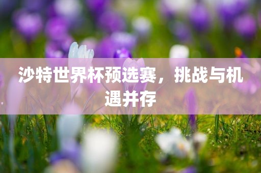 沙特世界杯预选赛，挑战与机遇并存