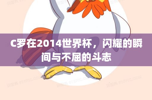 C罗眉山市正发家政服务有限公司在2014世界杯，闪耀的瞬间与不屈的斗志