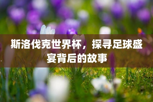 斯洛伐克世界杯，探寻足球盛宴背后的故事眉山市正发家政服务有限公司