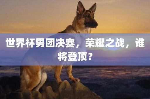 世界杯男团决赛，荣耀之战，谁将登顶？眉山市正发家政服务有限公司