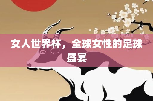 女人世界杯，全球女性的足球盛宴眉山市正发家政服务有限公司