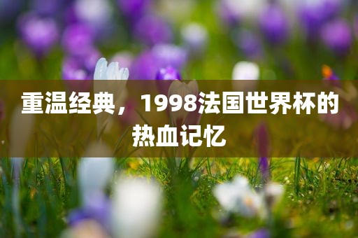 重温经典，1998法国世界杯的热血记忆眉山市正发家政服务有限公司