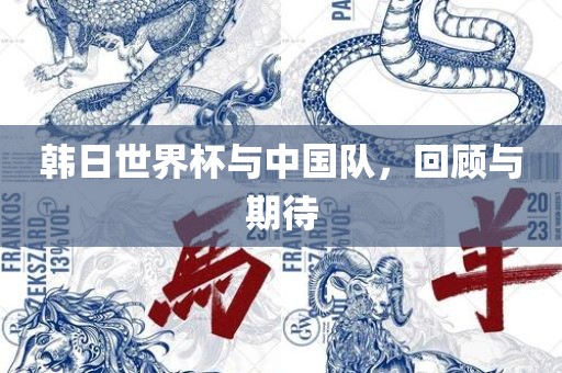 韩日世界杯与中国队，回顾与期待眉山市正发家政服务有限公司