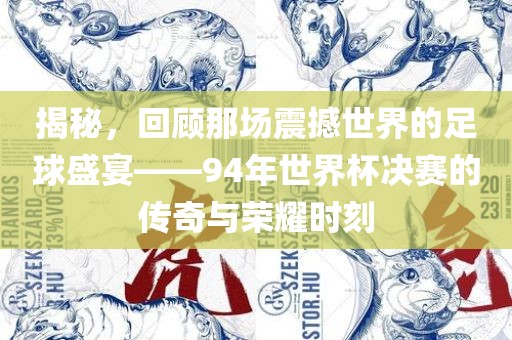 揭秘，回顾那场震撼世界的足球盛宴——94年世界杯决赛的传奇与荣耀时刻眉山市正发家政服务有限公司