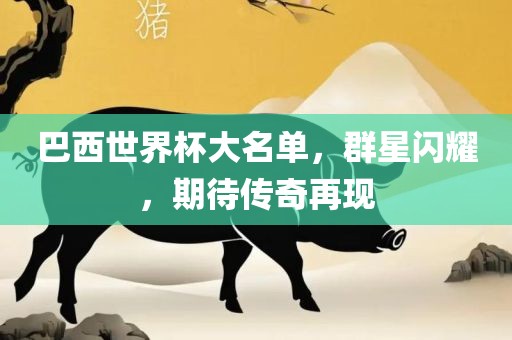 巴西世界杯大名单，群星闪耀，期待传奇再现眉山市正发家政服务有限公司