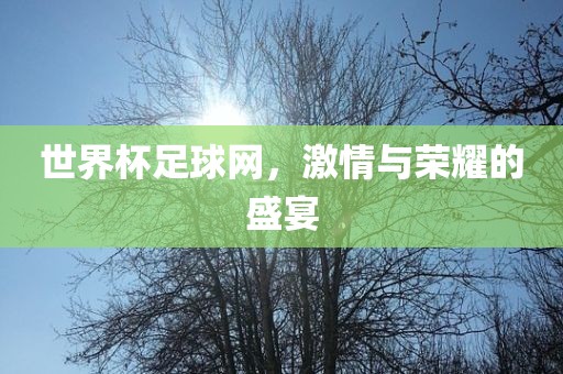 世界杯足球网，激情与荣耀的盛宴眉山市正发家政服务有限公司