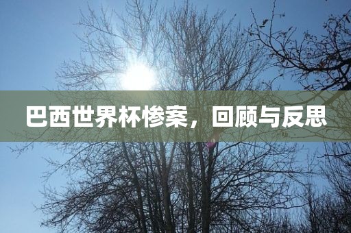 巴西世界杯惨案，回顾与反思