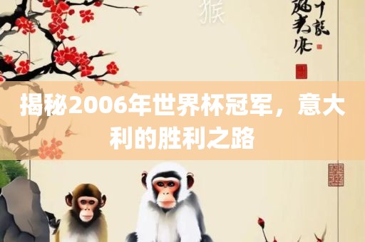 揭秘2006年世界杯冠军，意大利的胜利之路