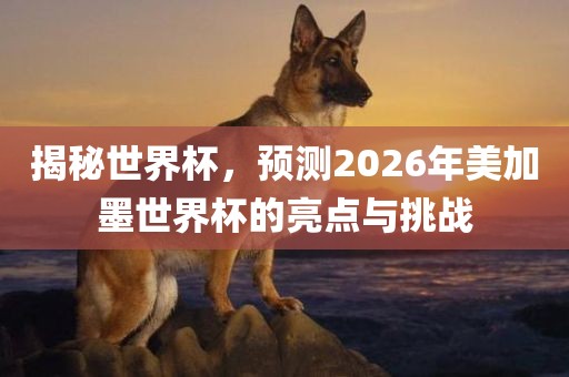 揭秘世界杯，预测2026年美加墨世界杯的亮点与挑战眉山市正发家政服务有限公司