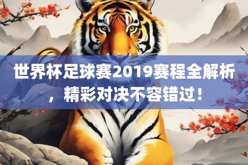 世界杯足球赛2019赛程全解析，精彩对决不容错过！眉山市正发家政服务有限公司