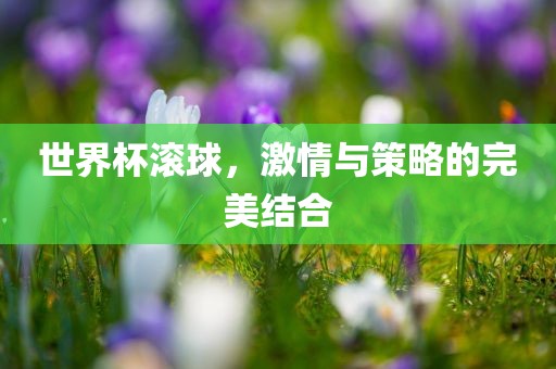 世界杯滚球，激情与策略的完美结合