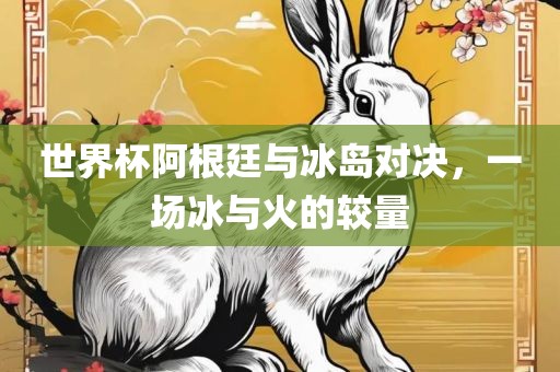 世界杯阿根廷与冰岛对决，一场冰与火的较量