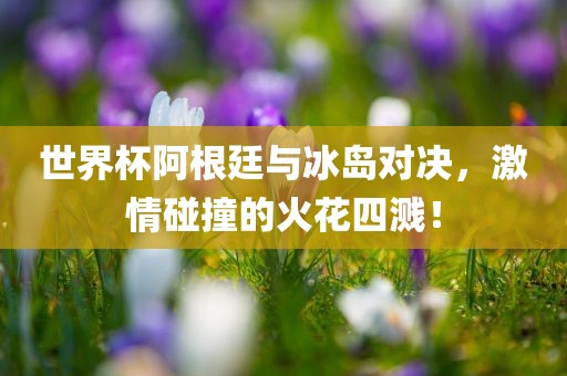 世界杯阿根廷与冰岛对决，激情碰撞的火花四溅！