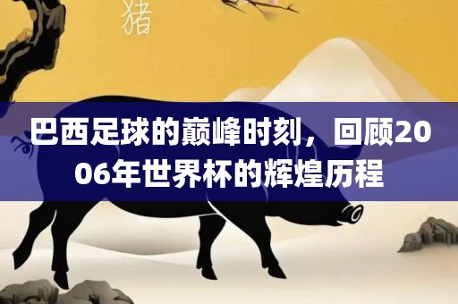 巴西足球的巅峰时刻，回顾2006年世界杯的辉煌历程眉山市正发家政服务有限公司