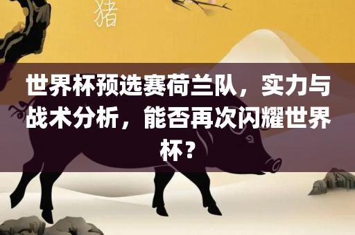 世界杯预选赛荷兰队，实力与战术分析，能否再次闪耀世界杯？眉山市正发家政服务有限公司