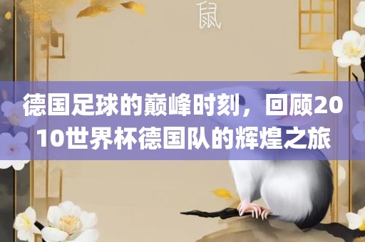 nieruihai 第5页