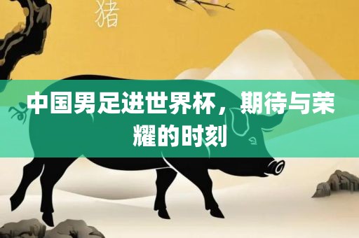 中国男足进世界杯，期待与荣耀的时刻眉山市正发家政服务有限公司