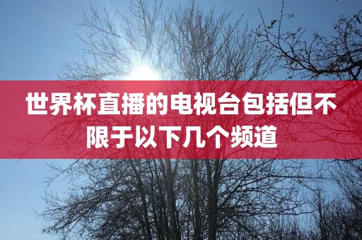 世界杯直播的电视台包括但不限于以下几个频道眉山市正发家政服务有限公司