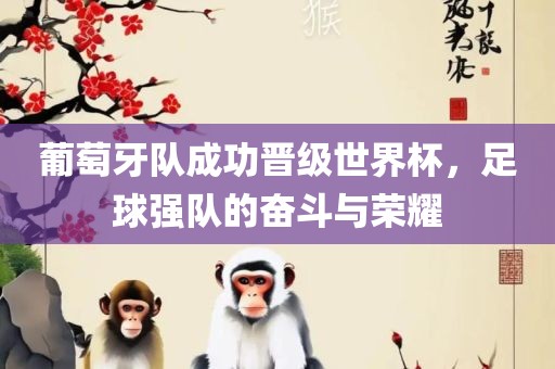 葡萄牙队成功眉山市正发家政服务有限公司晋级世界杯，足球强队的奋斗与荣耀