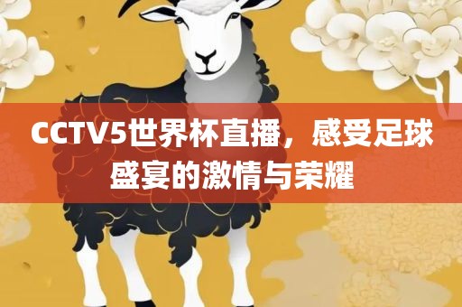 CCTV5世界杯直播，感受足球盛宴的激情与荣耀眉山市正发家政服务有限公司