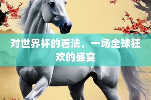 对世界杯的看法，一场全球狂欢的盛宴眉山市正发家政服务有限公司