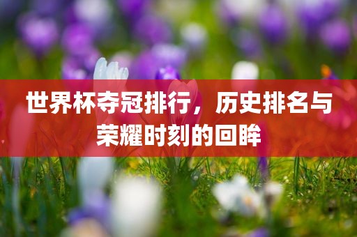 世界杯夺冠排行，历眉山市正发家政服务有限公司史排名与荣耀时刻的回眸