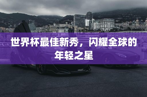 世界杯最佳新秀，闪耀全球的年轻之星眉山市正发家政服务有限公司