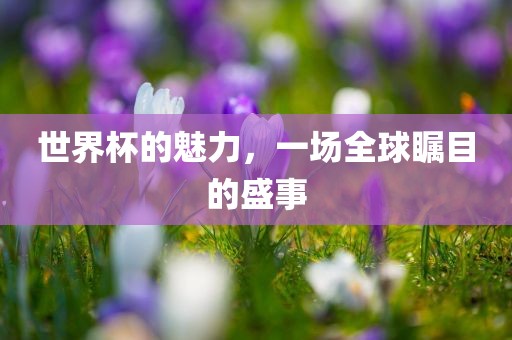 世界杯的魅力，一场全球瞩目的盛事眉山市正发家政服务有限公司