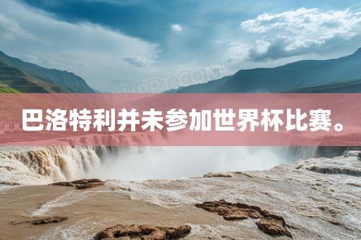 巴洛特利并未参加世界杯比赛。眉山市正发家政服务有限公司