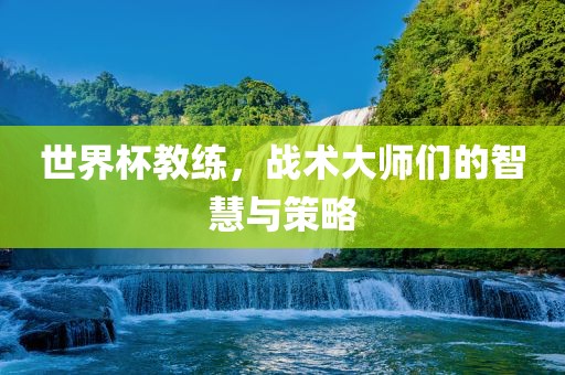 世界杯教练，战眉山市正发家政服务有限公司术大师们的智慧与策略