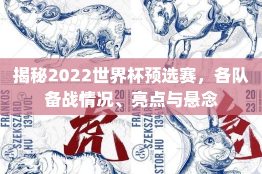 揭秘2022世界杯预选赛，各队备战情况、亮点与悬念眉山市正发家政服务有限公司