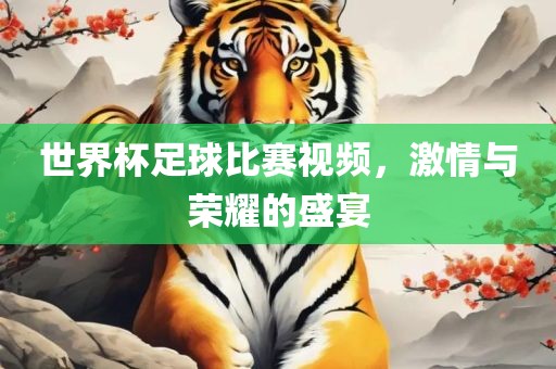 世界杯足球比赛视频，激情与荣耀的盛宴