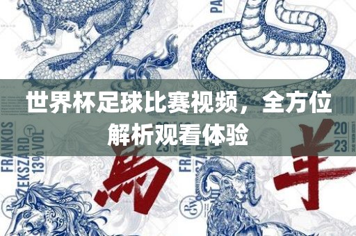 世界杯足球比赛视频，全方位解析观看体验
