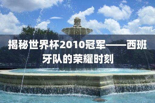 揭秘世界杯2010冠军眉山市正发家政服务有限公司——西班牙队的荣耀时刻