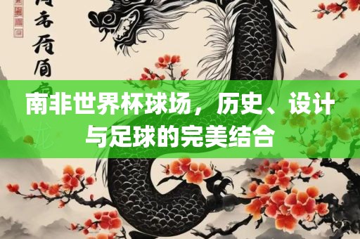 南非世界杯球场，历史、设计与足球的完美结合眉山市正发家政服务有限公司