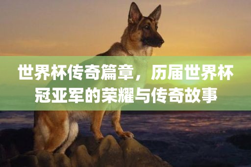 世界杯传奇篇章，历届世界杯冠亚军的荣耀与传奇故事眉山市正发家政服务有限公司