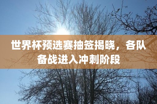 世界杯预选赛抽签揭晓，各队备战眉山市正发家政服务有限公司进入冲刺阶段